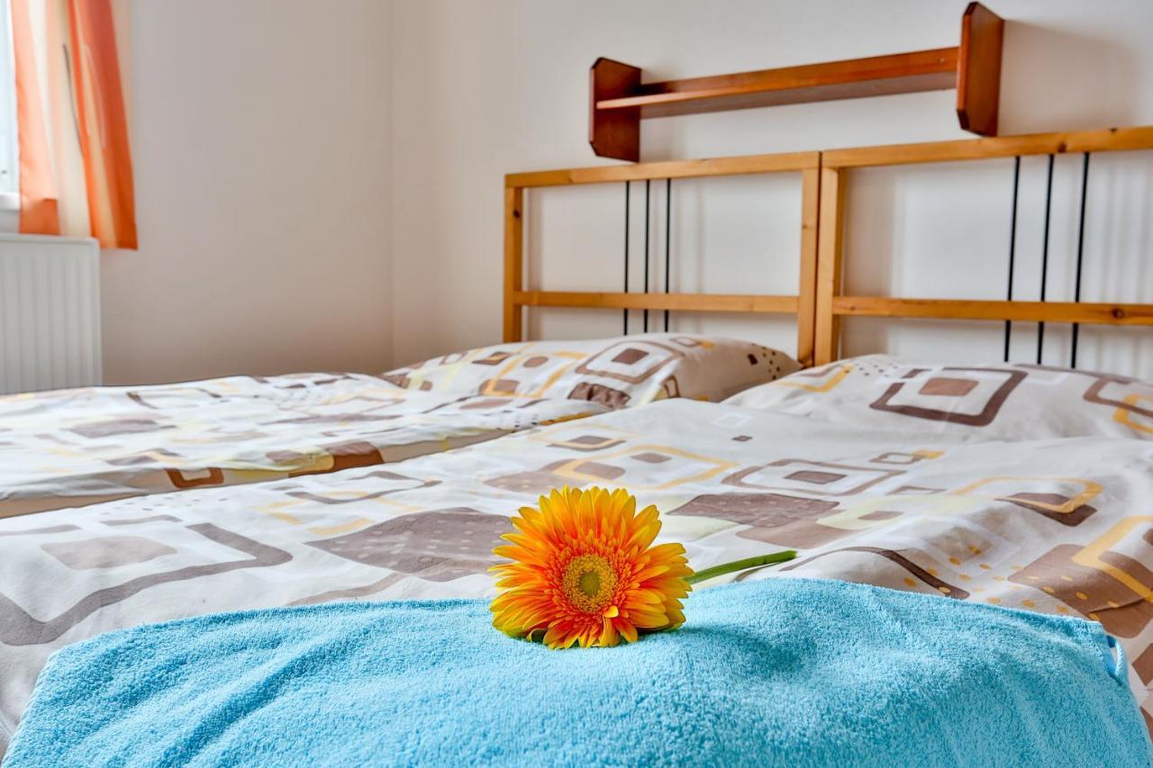 Teddy Apartment